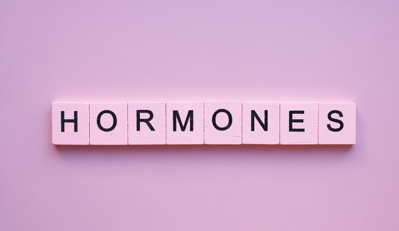 Holzwürfel auf denen das Wort "Hormone" abgebildet ist auf einem rosa Hintergrund