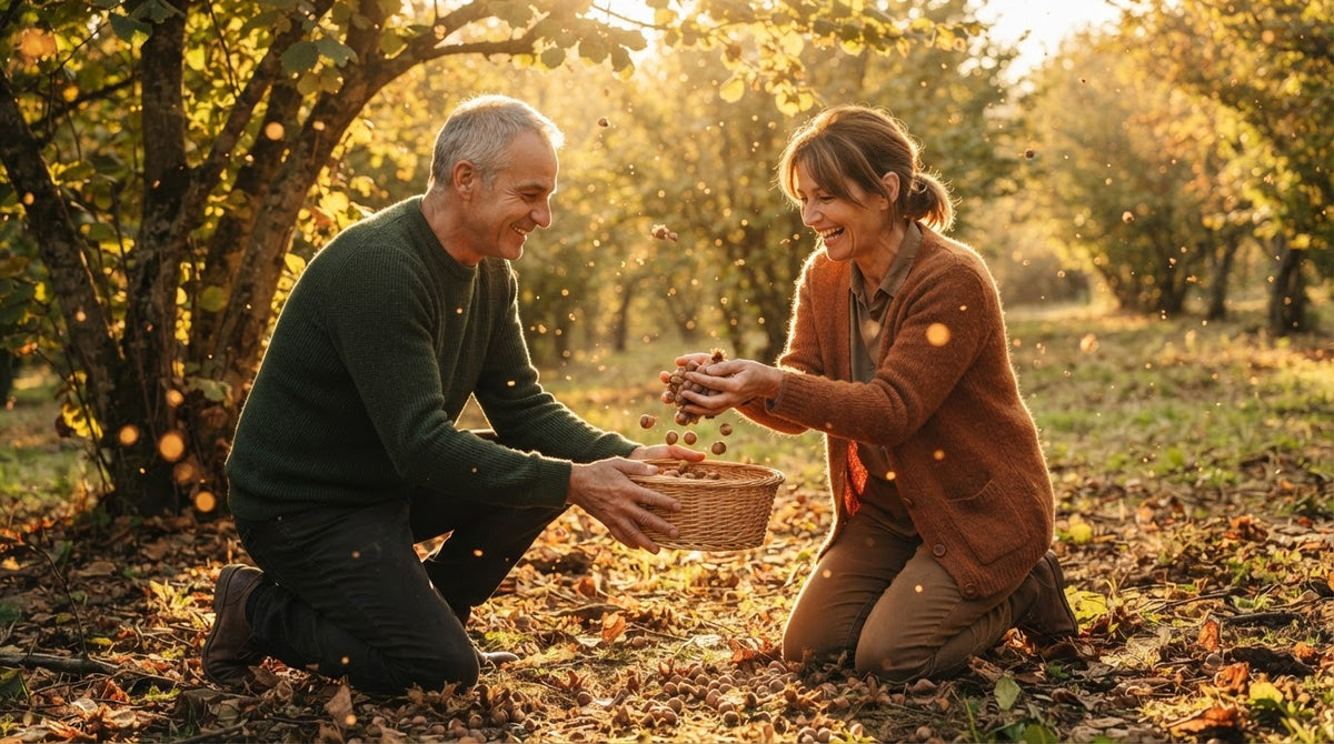 Mann und Frau um die 50 sammeln an einem Herbstnachmittag Haselnüsse in einen Korb