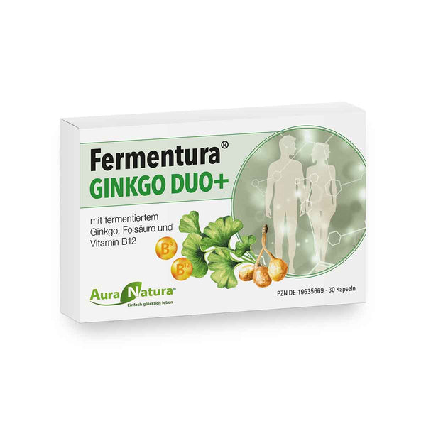 1 Packung Fermentura® GINKGO DUO+